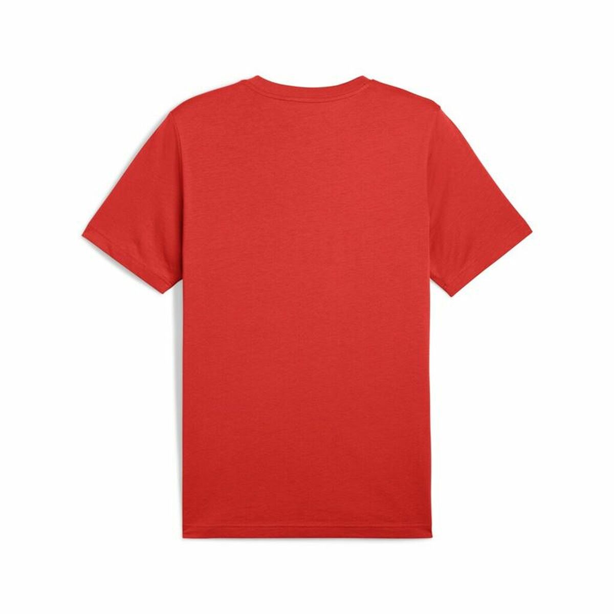 V3HC0AACC0F77D9A8F9A26CF017F6A46689R6595184P2