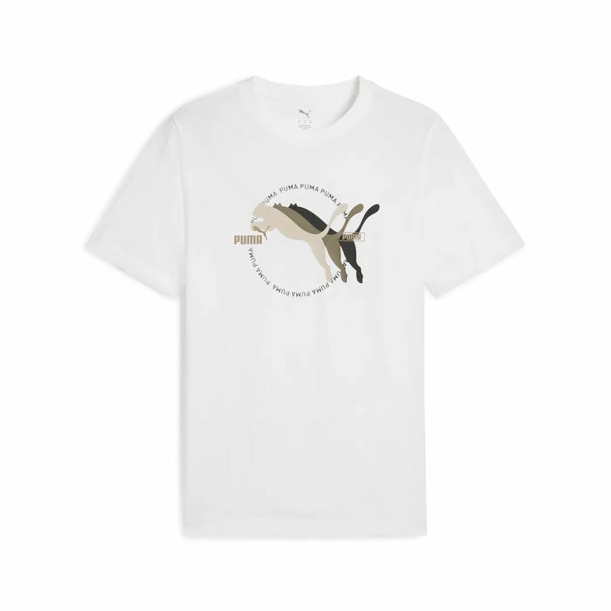 V3H61A00A1DA38B42FA01786B8F2F34D0B5R6162652P1