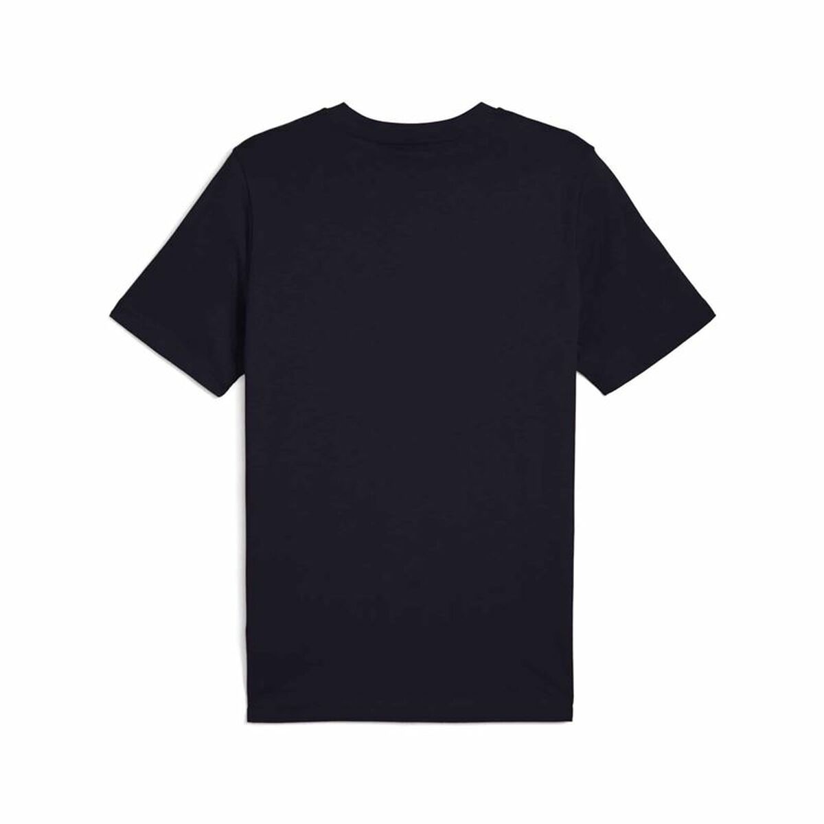 V3HB8765597CC3AFCB6E0E2BA94F1537A23R6162088P2