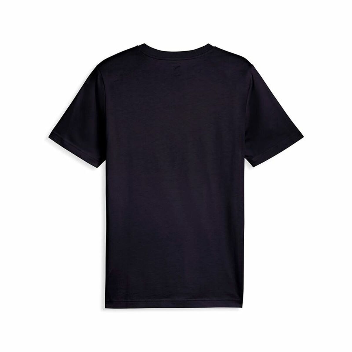 V3H476C98BEAA50222ECD8CD5BA89733054R6603891P2