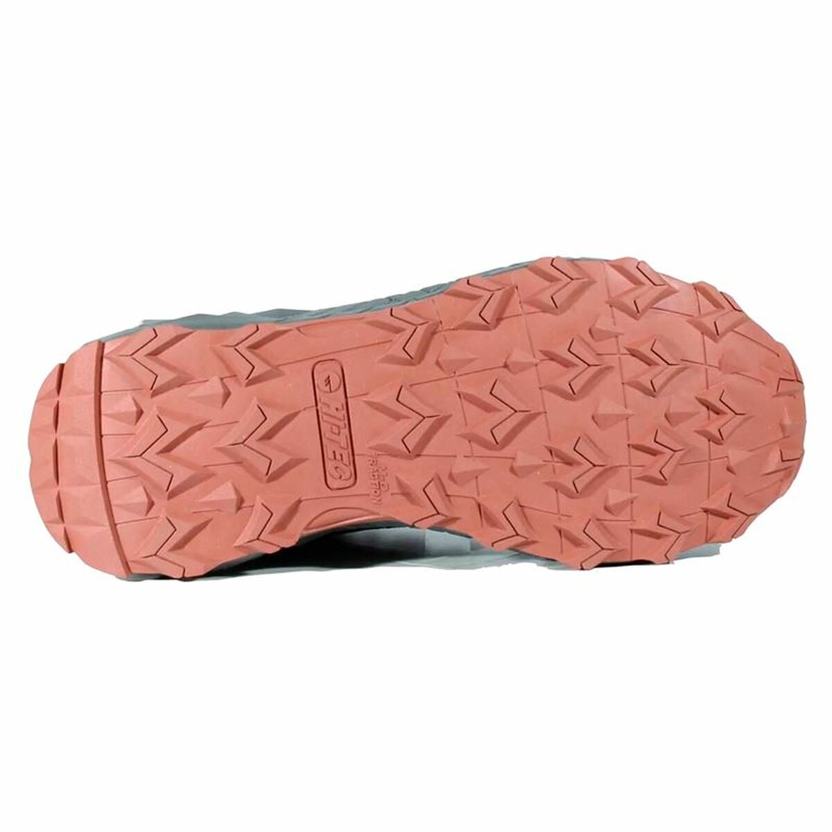 V5H7871E6459AF5C143E6CD52FC262D9E64R5444934P3