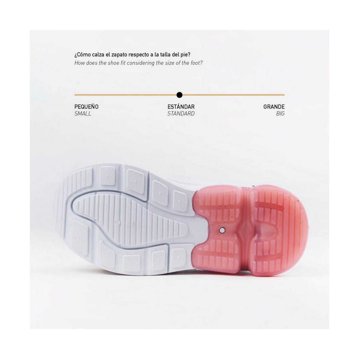 V9HC2BBFD07363E979095BFBD1648C1AF65R4089964P6