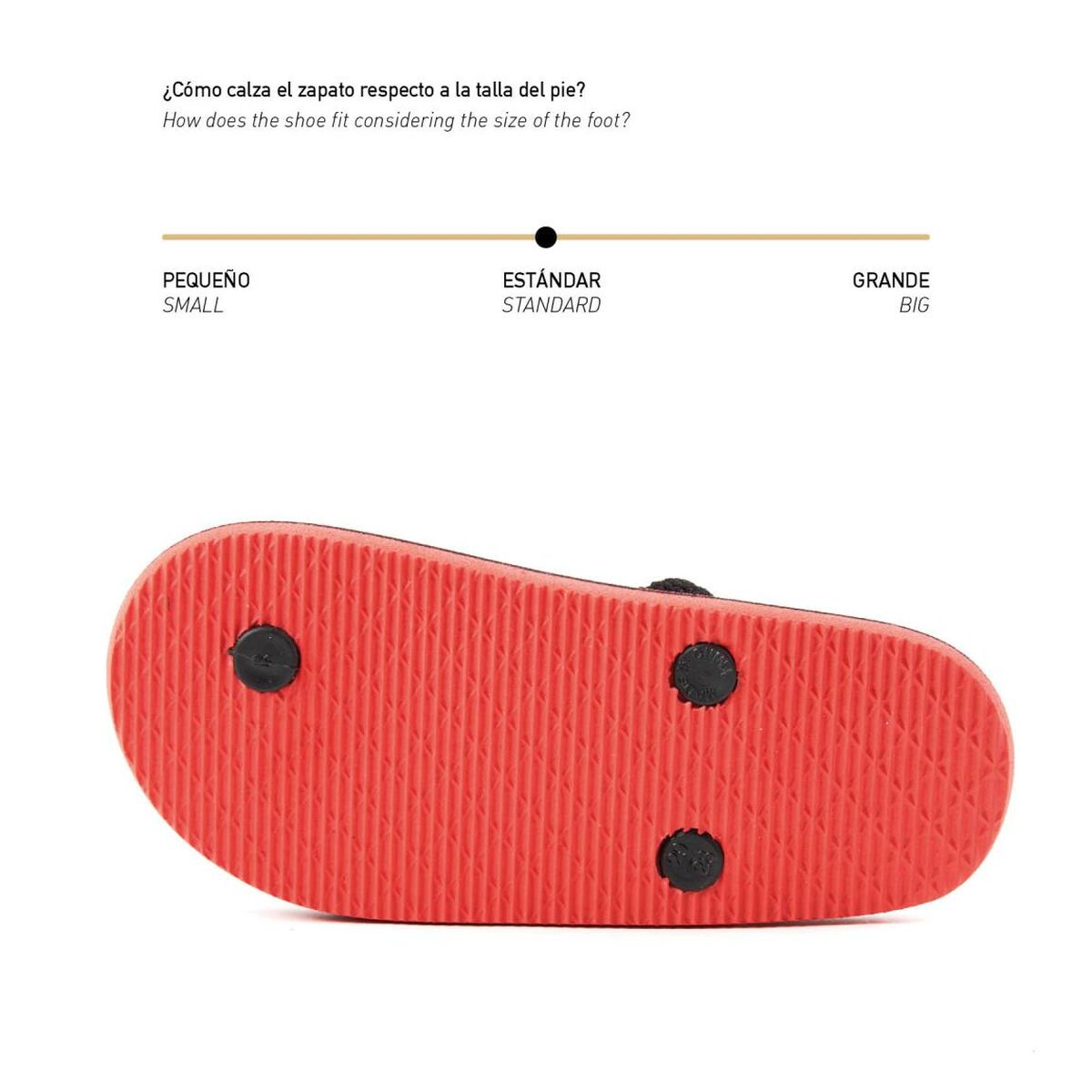 V8H110A3B0E8D7911394205A9CA8B735056R3465799P2